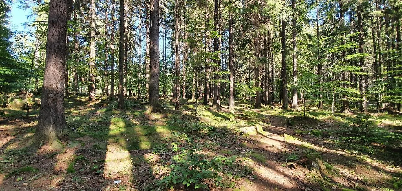 Chalet Domek Tylko Tu Szklarska Poreba Poland