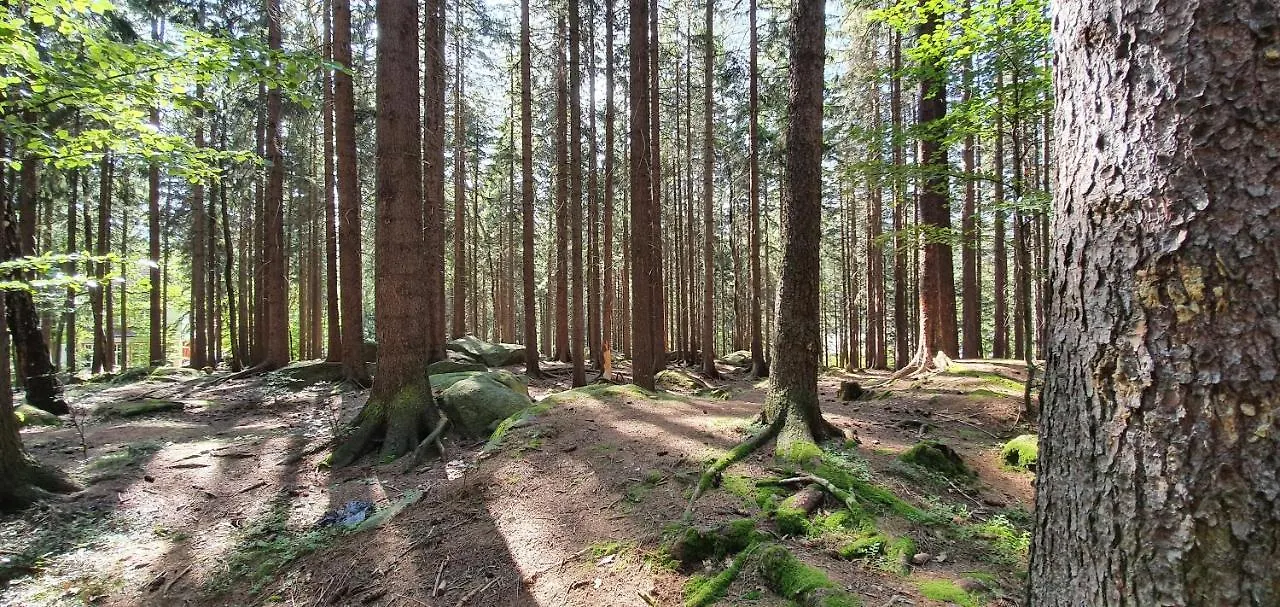 Domek Tylko Tu Szklarska Poreba 0*,